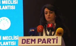 Dem Parti Eş Genel Başkanı Bakırhan: “Seçim Sonuçlarında Ortaya Çıkan Bu Zemini, Demokratik İttifakları Büyüterek Sonuca Ulaştıracağız”