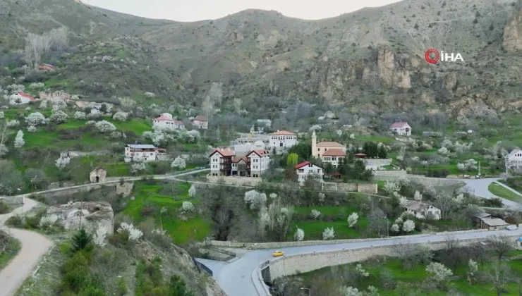 Gümüşhane’nin tarihi mahallesinde bahar güzelliği