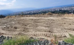 Hatay’da deprem sonrası zeytinlik alanda mezar kazıldı, ağaçlar söküldü