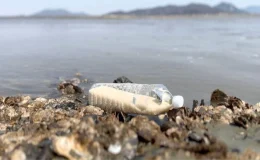 Güney Koreli aktivist, Kuzey Kore’ye pirinç dolu plastik şişeler gönderiyor