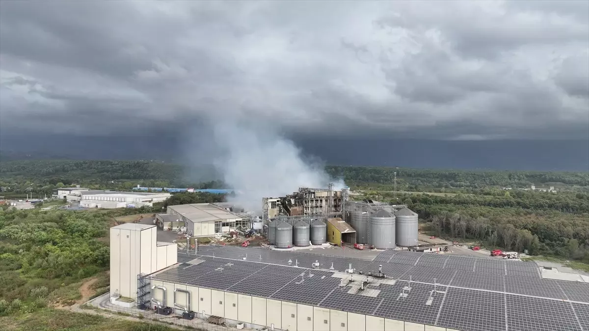 Hendek’te Makarna Fabrikası Patladı: 30 Yaralı